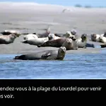 Vives Les 4 Ch * Arques-la-Bataille
